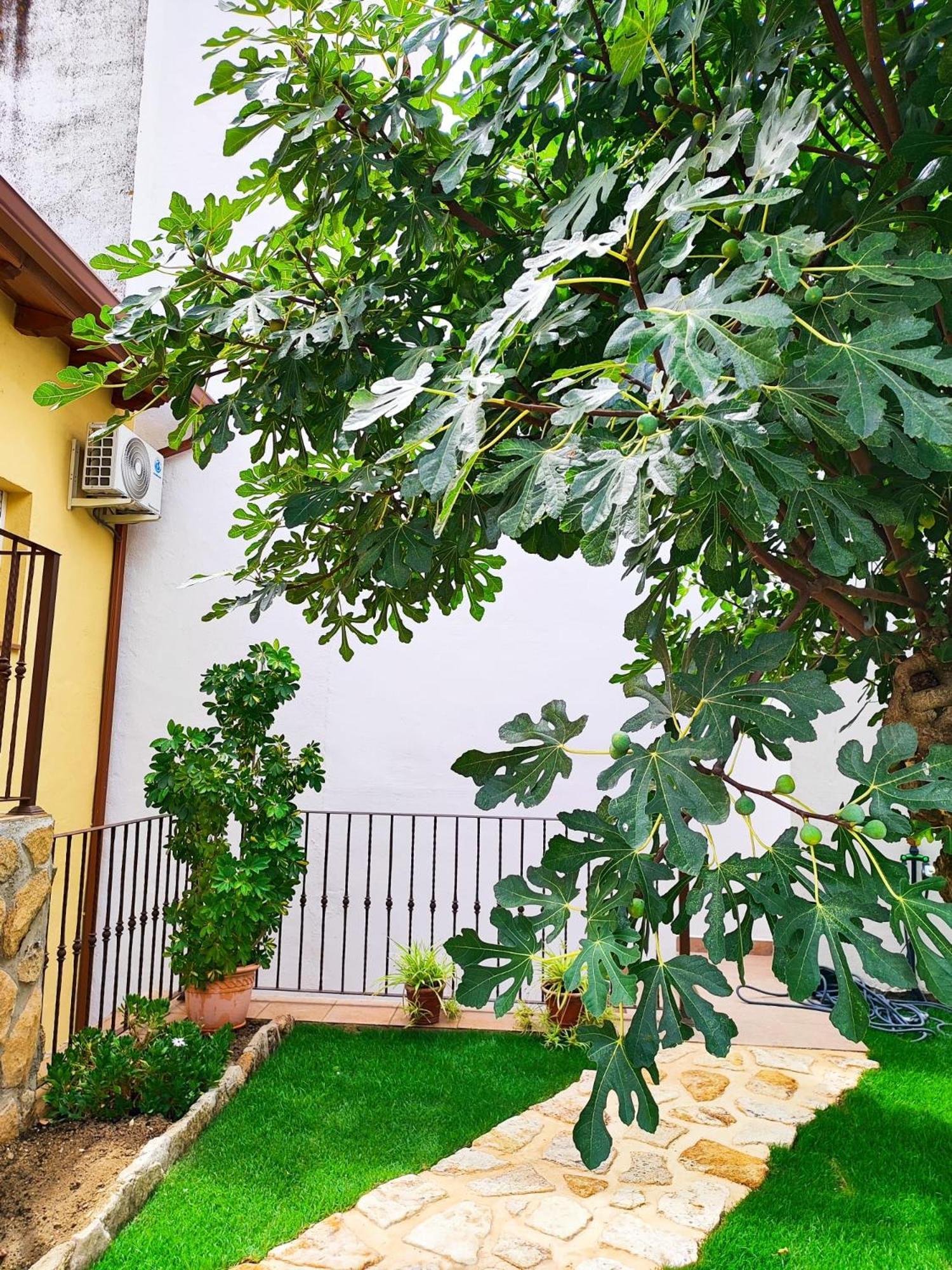 La Casita De Ra Villa Castillo de Bayuela Buitenkant foto